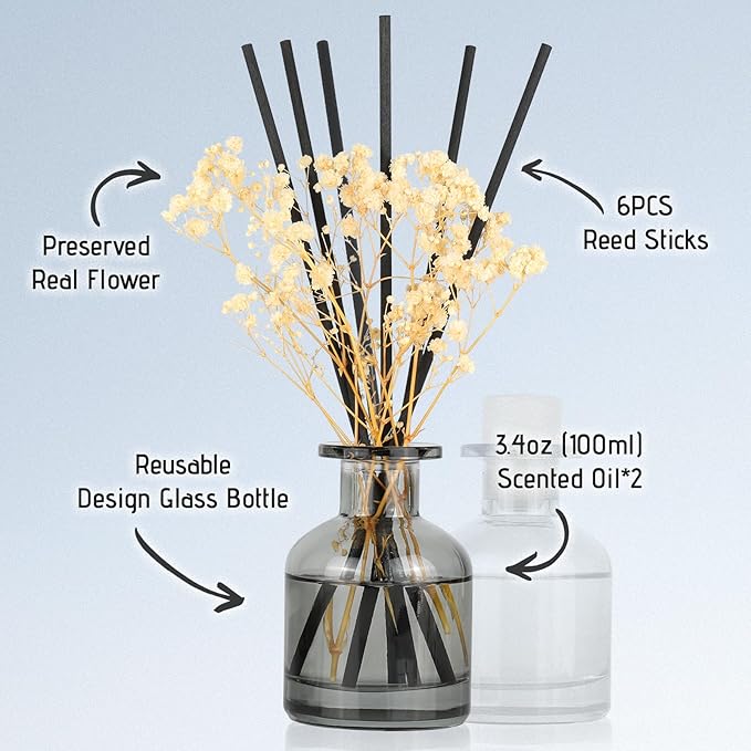 Brakula 2 Pack Reed Diffuser, Eucalyptus & Wild Mint + Lavender Eucalyptus (3.38 fl oz Each Pack), Home Fragrance with 12 Sticks, Shelf Decor, Reed diffusers for Home