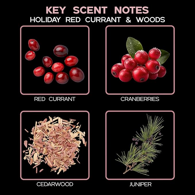 LOVSPA Reed Diffuser Set, Holiday Red Currant & Woods Scented Oil Diffuser with Sticks, Home Fragrance Accessories for Bathroom Shelf Decor, Aroma Diffusers for Home or Office Desk, USA Made