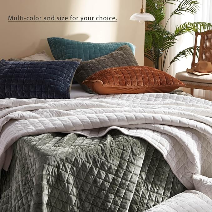 LEAONME Velvet Quilt California King-118''x106'', Lightweight Beige Velvet Comforter Set with 2 Pillow Shams, Soft Oversized Bedspread Coverlet Quilted Bedding Set for All Season