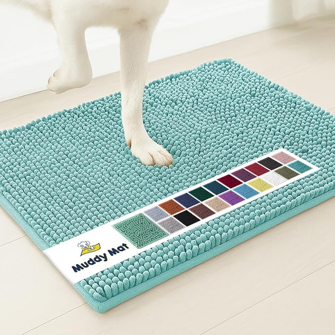 Muddy Mat® Original Dog Door Mat for Muddy Paws, Super Absorbent Microfiber, Non-Slip Washable Pet Rug, Quick Dry Chenille Entryway Carpet, Machine Washable Indoor Outdoor mat, Seafoam Green 48"x60"