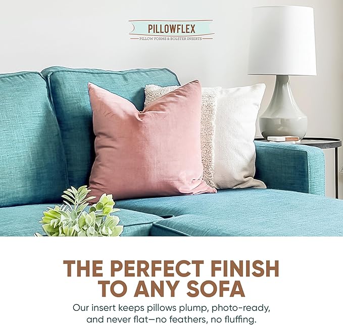Pillowflex Synthetic Down Pillow Insert - 27x27 - Down Alternative Ultra Soft Large Square European Throw Pillow, Machine Washable - Couch Euro Sham, Lumbar, Bed, Sofa - 1 Decorative Accent Form